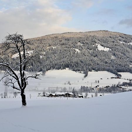 Palfengut Apartment Altenmarkt im Pongau Bagian luar foto