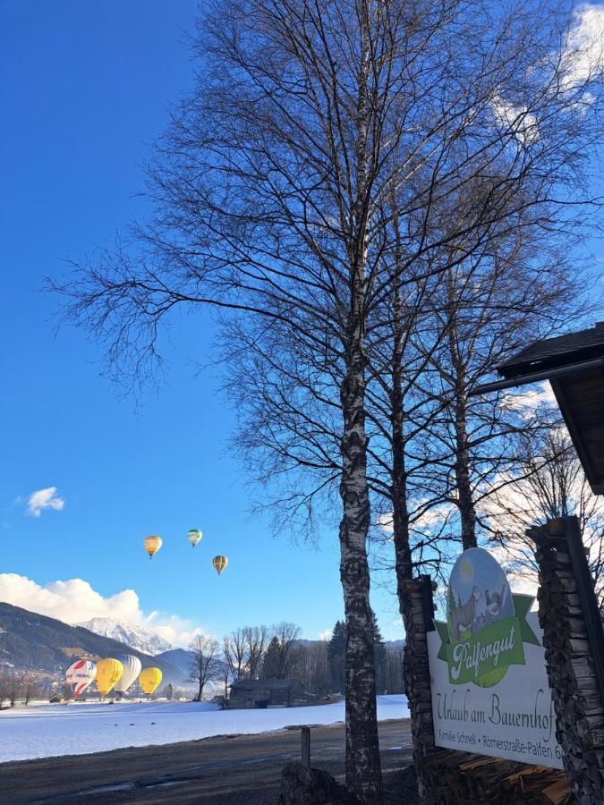 Palfengut Apartment Altenmarkt im Pongau Bagian luar foto