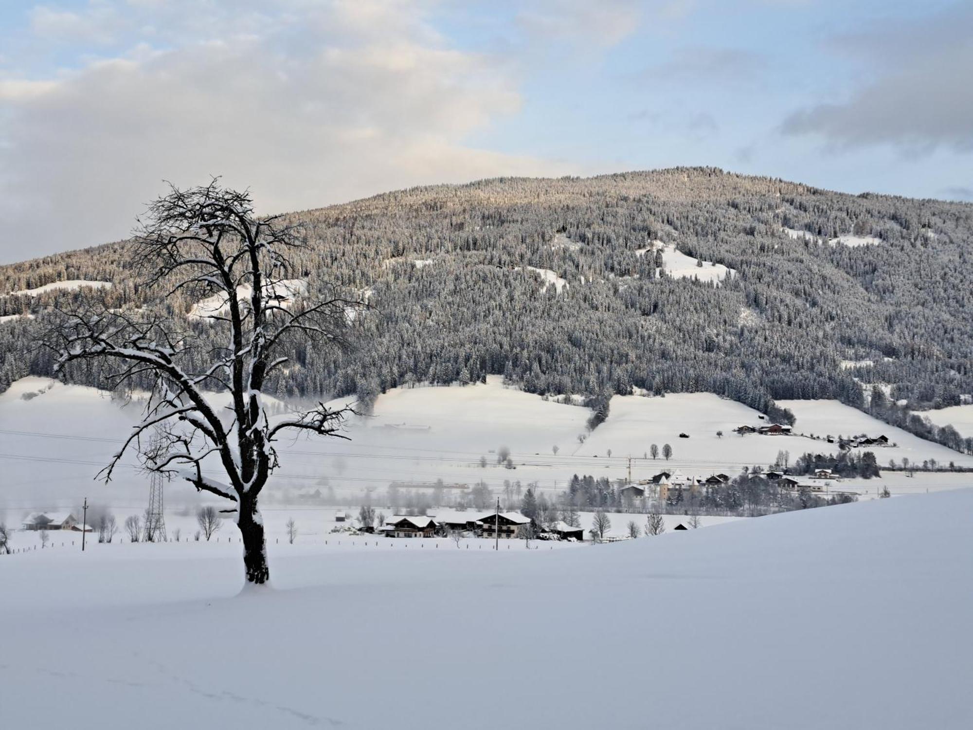 Palfengut Apartment Altenmarkt im Pongau Bagian luar foto